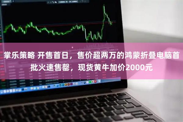 掌乐策略 开售首日，售价超两万的鸿蒙折叠电脑首批火速售罄，现货黄牛加价2000元