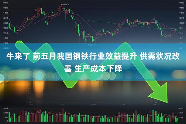 牛来了 前五月我国钢铁行业效益提升 供需状况改善 生产成本下降