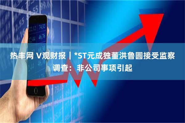 热丰网 V观财报｜*ST元成独董洪鲁圆接受监察调查：非公司事项引起