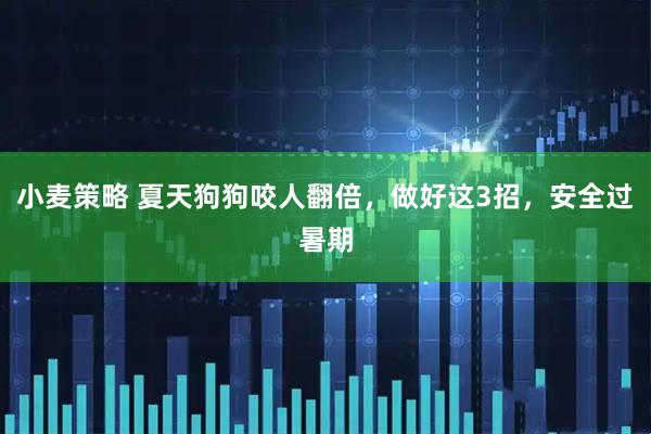 小麦策略 夏天狗狗咬人翻倍，做好这3招，安全过暑期