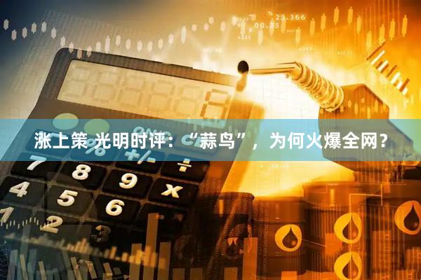 涨上策 光明时评：“蒜鸟”，为何火爆全网？