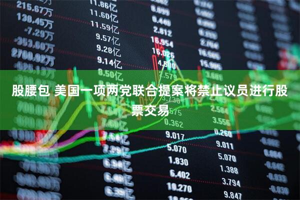 股腰包 美国一项两党联合提案将禁止议员进行股票交易